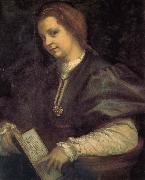 Andrea del Sarto, Take the book portrait of woman